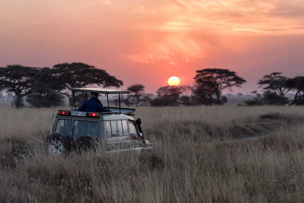 Serengeti Safari Wildlife Expedition